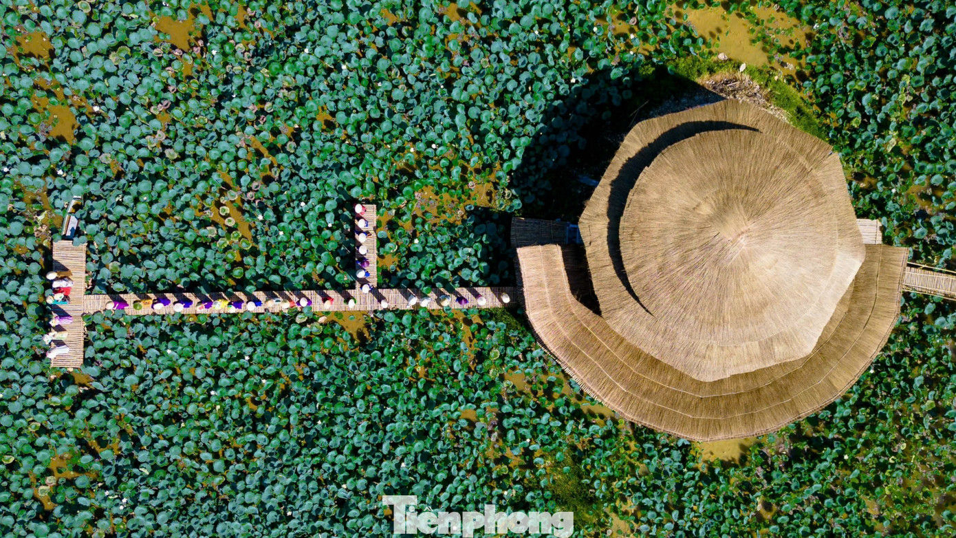 Liên tục trong nhiều kỳ Festival Huế, Phước Tích là nơi diễn ra lễ hội Hương xưa làng cổ tái hiện không gian văn hóa làng cổ, cùng nhiều sinh hoạt văn hóa dân gian, trình diễn kỹ năng nghề truyền thống, lễ hội áo dài, các hoạt động mang tính cộng đồng, sáng tạo nghệ thuật...