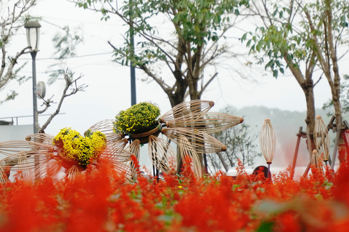 Hoa không thể thiếu tại các công viên xứ Huế ngày Tết. Hoa không thể thiếu tại các công viên xứ Huế ngày Tết.