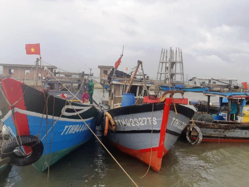 Tàu, thuyền vào nơi neo đậu an toàn trú tránh bão Tàu, thuyền vào nơi neo đậu an toàn trú tránh bão