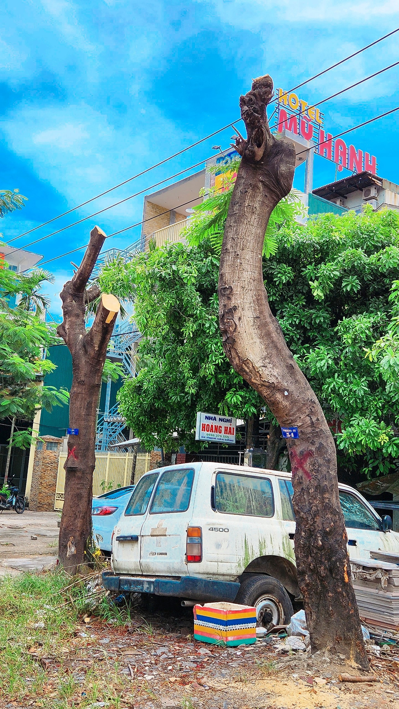 Cả một đoạn dài tuyến phố Phạm Văn Đồng trông như vừa mới trải qua một trận bão, hàng loạt cây cối chỉ còn lại phần thân trơ ra giữa nắng hè chói chang. Ảnh: Ngọc Văn