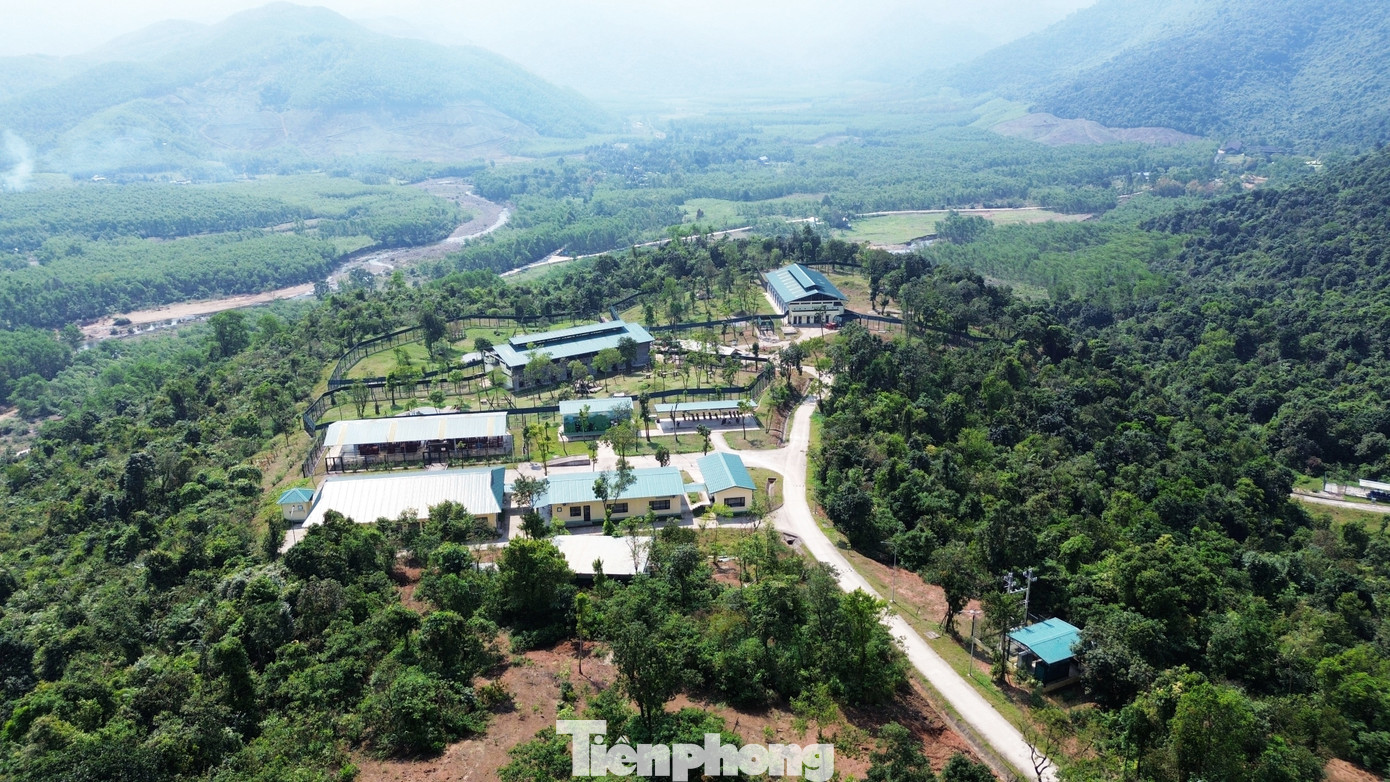 Trung tâm Cứu hộ gấu Việt Nam (cơ sở II) được thành lập vào năm 2022, với trị giá đầu tư, vận hành 10,5 triệu USD, do Tổ chức Cứu hộ Động vật châu Á viện trợ không hoàn lại. Đến tháng 11/2023, Trung tâm khai trương, chính thức đi vào hoạt động tại Vườn Quốc gia Bạch Mã (huyện Phú Lộc, TP Huế). Trung tâm Cứu hộ gấu Việt Nam (cơ sở II) được thành lập vào năm 2022, với trị giá đầu tư, vận hành 10,5 triệu USD, do Tổ chức Cứu hộ Động vật châu Á viện trợ không hoàn lại. Đến tháng 11/2023, Trung tâm khai trương, chính thức đi vào hoạt động tại Vườn Quốc gia Bạch Mã (huyện Phú Lộc, TP Huế).