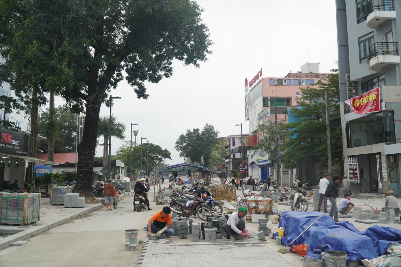 Trước đó, nhiều cây xanh trên vỉa hè đường Hai Bà Trưng đã bị dời đi. Trong ảnh là một cây cổ thụ hiếm hoi còn được giữ lại.