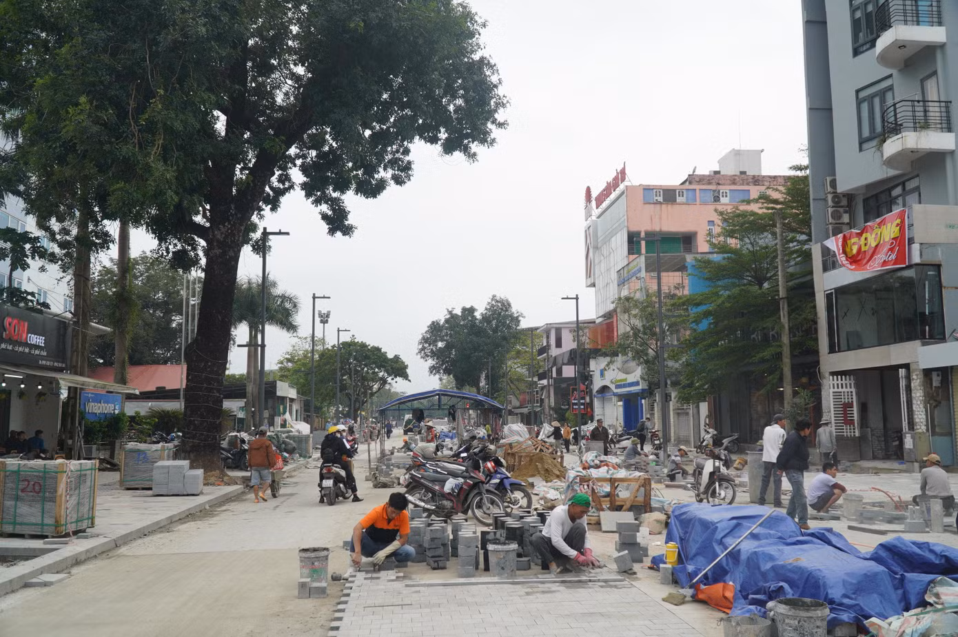 Trước đó, nhiều cây xanh trên vỉa hè đường Hai Bà Trưng đã bị dời đi. Trong ảnh là một cây cổ thụ hiếm hoi còn được giữ lại.