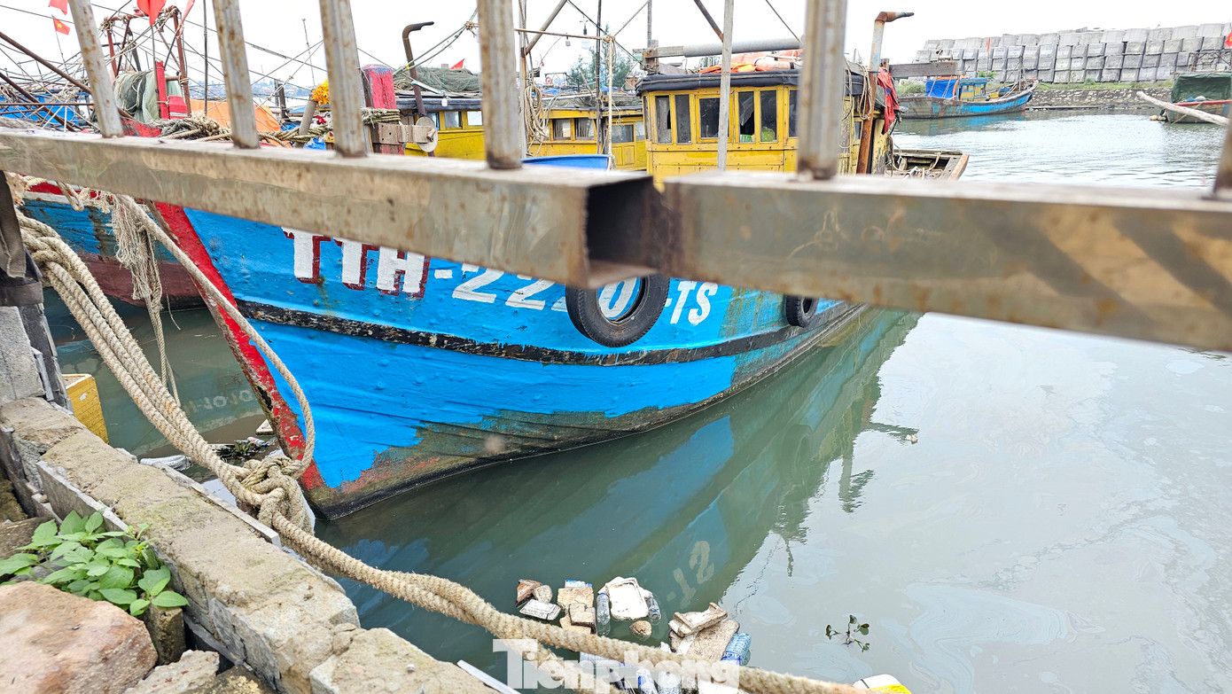 Theo đại diện lãnh đạo Ban quản lý Cảng cá TP Huế, do hệ thống hàng rào cảng cá nằm sát mép nước phía ngoài cảng, khi thủy triều dâng cao dẫn đến tình trạng tàu thuyền vào neo đậu xảy ra va đập gây hư hỏng các kết cấu công trình bảo vệ khu cảng.