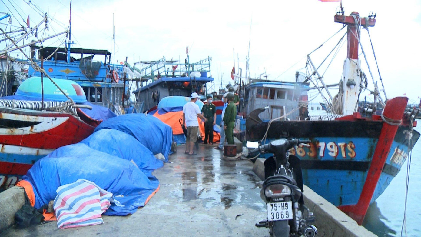 Trong sáng 11/9, tại các khu vực neo đậu tàu cá thuộc phường Thuận An (TP Huế) và các xã Phú Thuận, Phú Hải (huyện Phú Vang), ngư dân đã hoàn tất việc neo buộc phương tiện vào vị trí an toàn, cũng như thực hiện các giải pháp tránh va đập hoặc chìm đắm tại bến khi có mưa to gió lớn.