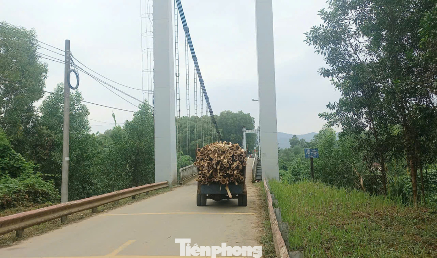 Được biết, tại xã Bình Thành hiện có các quy hoạch về phát triển cụm công nghiệp sản xuất, chế biến gỗ rừng trồng, khu du lịch; nhu cầu vận chuyển gỗ rừng đi tiêu thụ rất lớn… Do đó, việc xây dựng cây cầu mới là hết sức cấp thiết nhằm đảm bảo an toàn giao thông, đặc biệt vào mùa mưa lũ; cũng như phục vụ phát triển kinh tế xã hội địa phương.