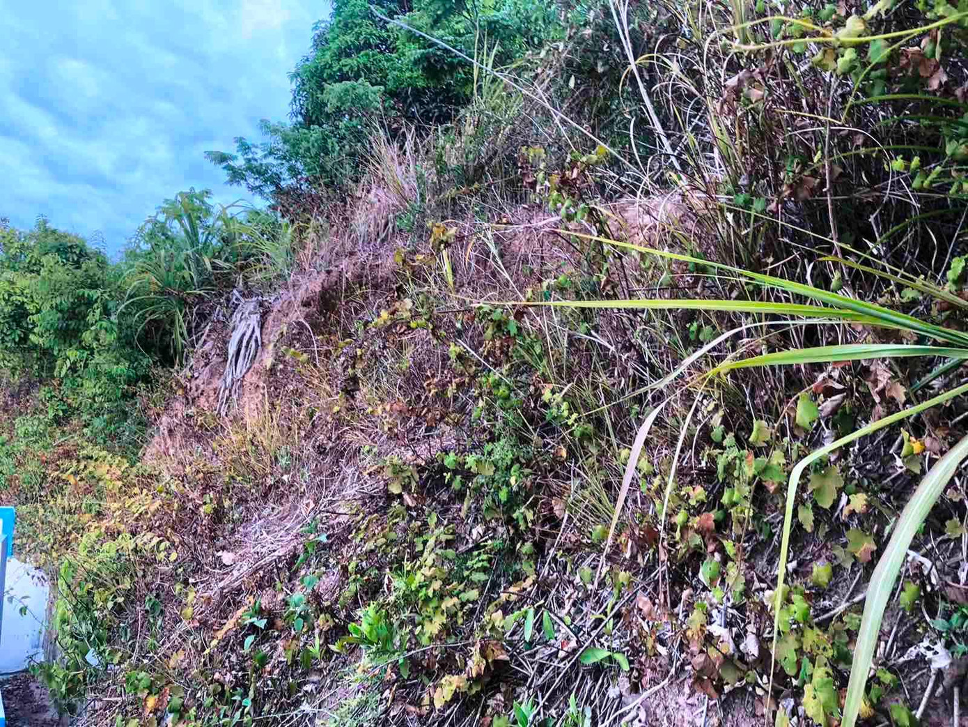 Khó nhận diện ra đây là một ngôi thành cổ 1.000 năm tuổi do người Chăm-pa xây dựng nếu không tìm hiểu thông tin từ trước. Ảnh: Quang Phúc