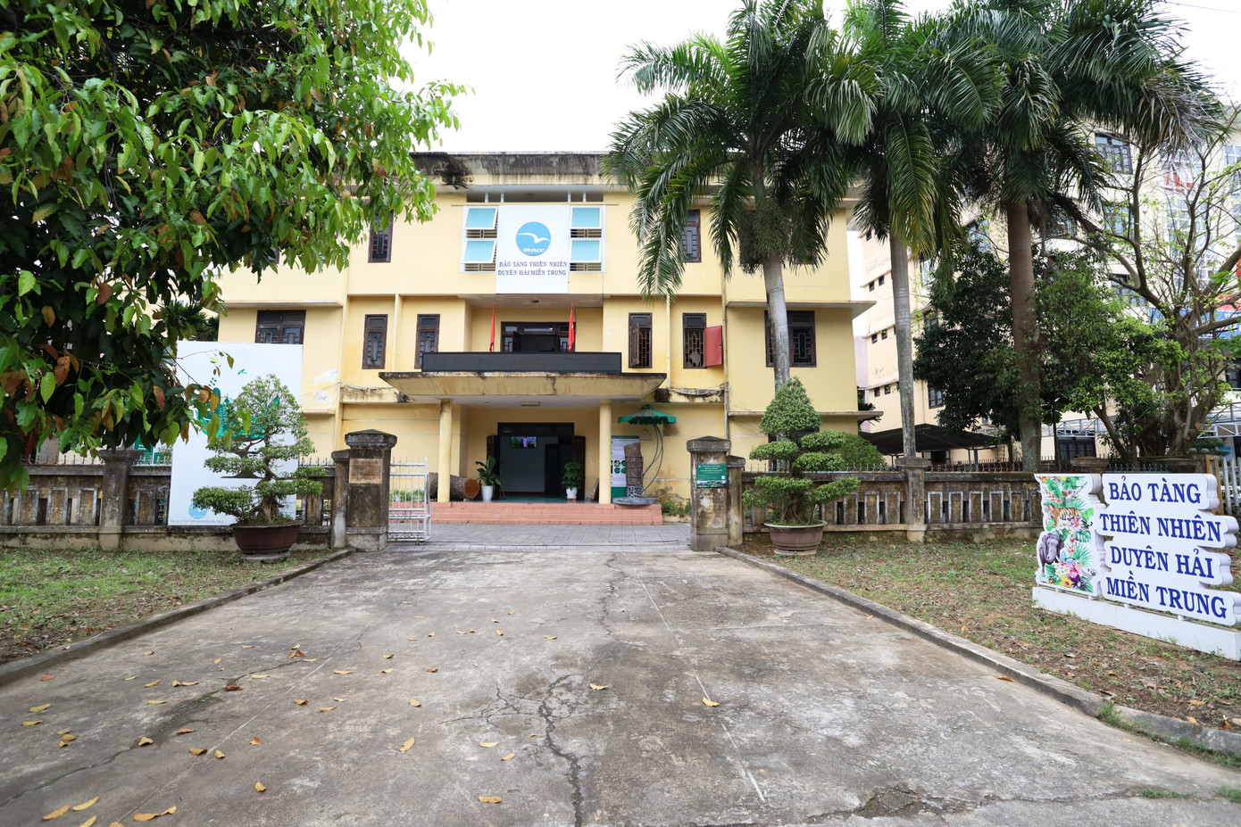 Nằm tại số 5 đường Điềm Phùng Thị (phường Vỹ Dạ, quận Thuận Hóa, TP Huế), Bảo tàng Thiên nhiên Duyên hải miền Trung vừa mở cửa đón khách tham quan miễn phí từ thứ hai đến thứ bảy hàng tuần. Đây là một điểm đến đặc biệt, nơi lưu giữ và trưng bày những mẫu vật quý hiếm mang giá trị khoa học, lịch sử, đồng thời phục vụ nghiên cứu và giáo dục. Nằm tại số 5 đường Điềm Phùng Thị (phường Vỹ Dạ, quận Thuận Hóa, TP Huế), Bảo tàng Thiên nhiên Duyên hải miền Trung vừa mở cửa đón khách tham quan miễn phí từ thứ hai đến thứ bảy hàng tuần. Đây là một điểm đến đặc biệt, nơi lưu giữ và trưng bày những mẫu vật quý hiếm mang giá trị khoa học, lịch sử, đồng thời phục vụ nghiên cứu và giáo dục.