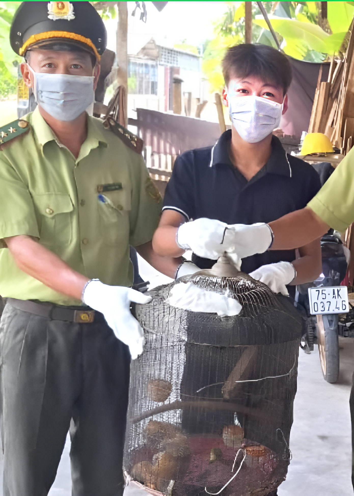 Người dân tự nguyện giao nộp cá thể cu li nhỏ quý hiếm cho cơ quan kiểm lâm.