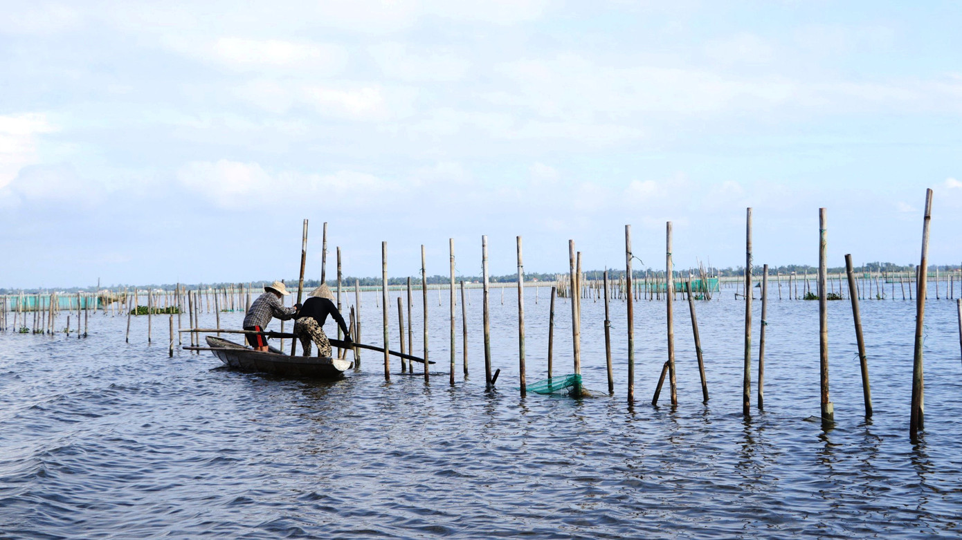 Tình trạng các hộ gia đình vây lưới làm trộ sáo nuôi, khai thác thủy sản đã làm vùng thủy vực đầm phá suy giảm nguồn lợi thủy sản, ảnh hưởng đến dòng chảy, ách tắc luồng lạch giao thông và môi trường sống tự nhiên của các loài thủy sinh.