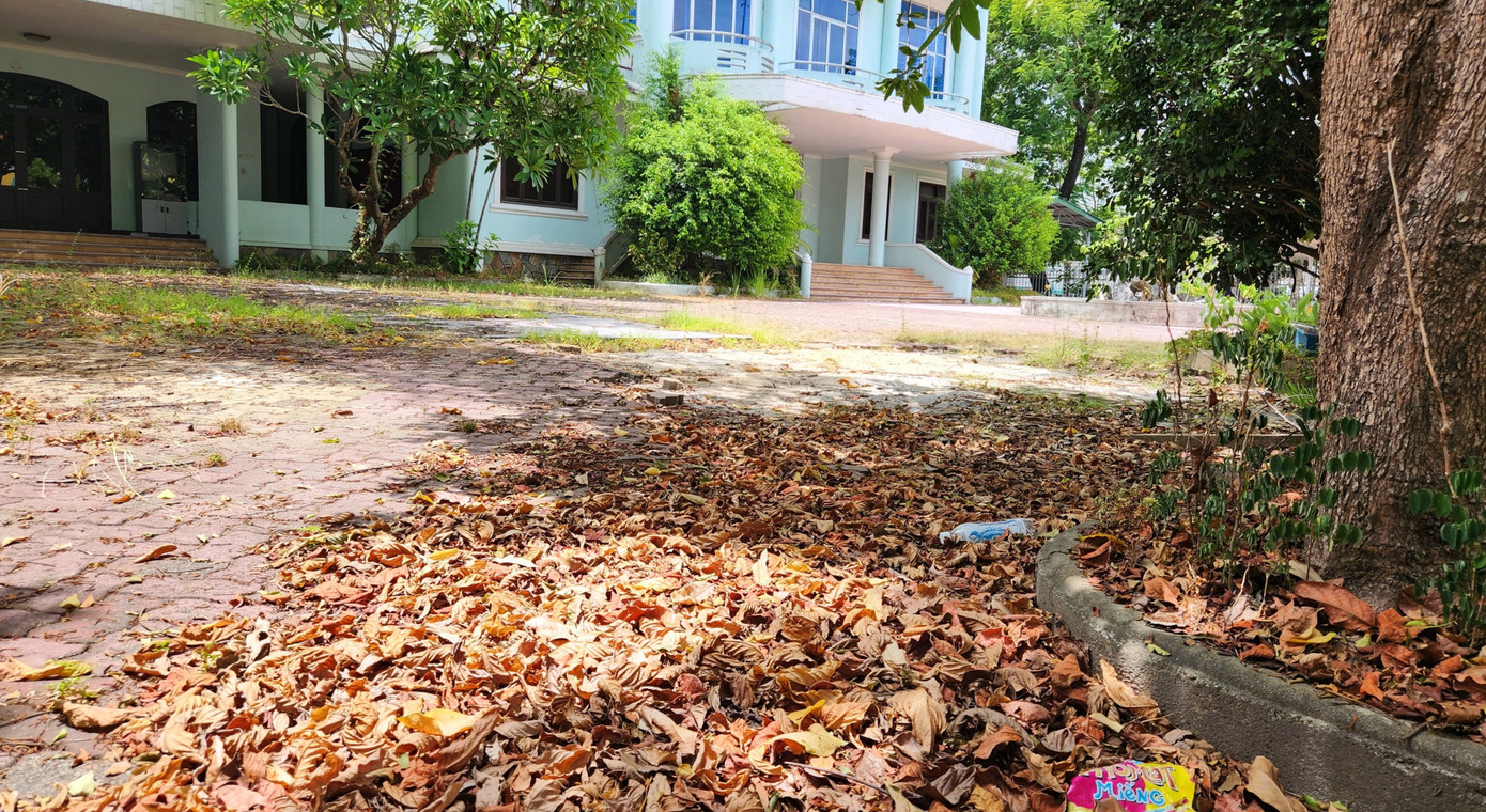 Cùng thực hiện chủ trương di dời này, các Sở GD&amp;ĐT, Khoa học &amp; Công nghệ cũng lần lượt rời khu phố “đất vàng” Lê Lợi để chuyển về trụ sở mới đóng trên đường Võ Nguyên Giáp.