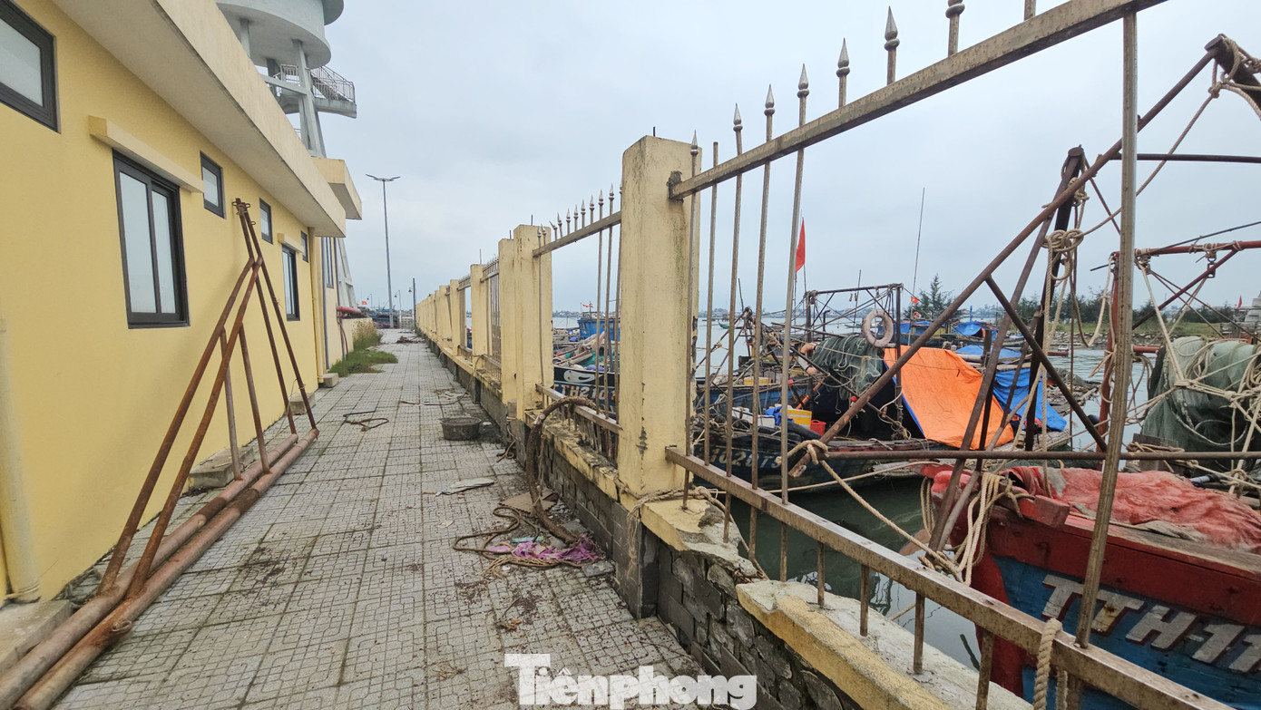 Khi cảng mới được xây dựng và thiết lập hàng rào bảo vệ tại khu vực này, các trụ neo tàu vẫn còn được giữ nguyên. Theo tìm hiểu của PV, ngư dân do ngại đi vòng vào cảng mới kéo dài lộ trình của tàu thuyền nên tiếp tục chọn neo đậu ở vị trí cũ.