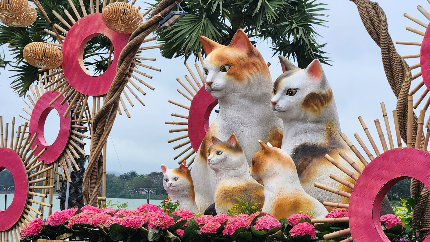 Còn tại công viên ven sông Hương (TP. Huế) trước trụ sở Văn phòng UBND tỉnh TT-Huế, từ nhiều ngày nay, nơi đây được trang trí cụm hình tượng gia đình mèo quây quần bên nhau trông đáng yêu, gần gũi. Còn tại công viên ven sông Hương (TP. Huế) trước trụ sở Văn phòng UBND tỉnh TT-Huế, từ nhiều ngày nay, nơi đây được trang trí cụm hình tượng gia đình mèo quây quần bên nhau trông đáng yêu, gần gũi.
