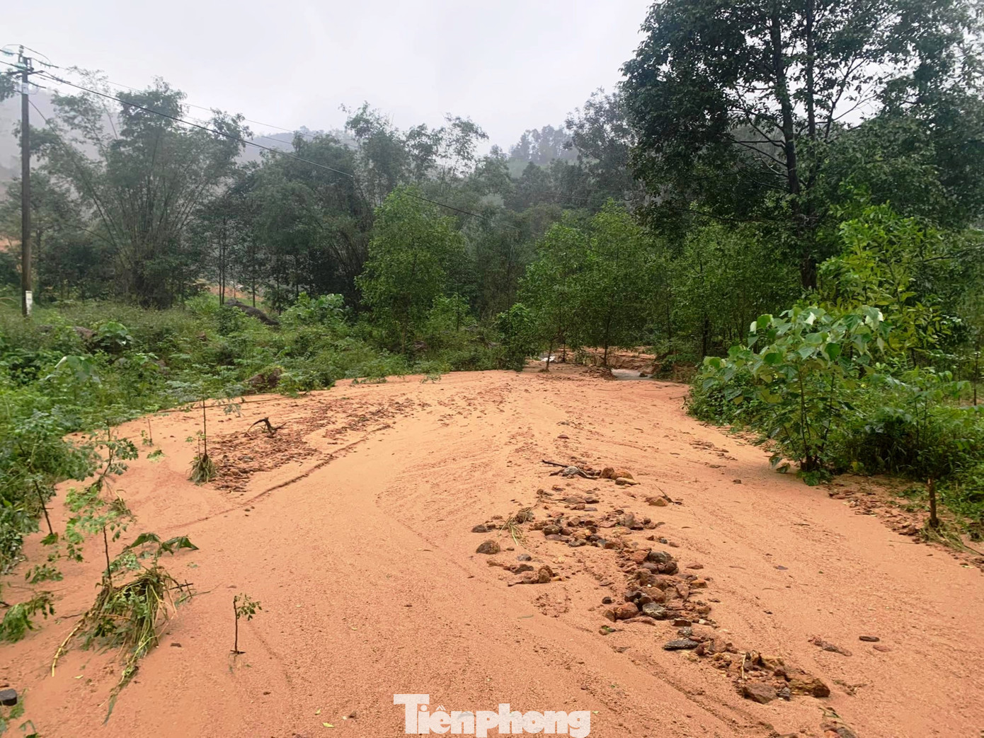 Còn theo ông Phan Văn Cường - Chủ tịch UBND xã Lộc Tiến, chính quyền địa phương hiện theo dõi sát sao tình hình mưa lũ, sạt lở ở núi Phú Gia để kịp thời có phương án ứng phó, sơ tán dân ra khỏi vùng nguy hiểm như từng thực hiện tại đây trong cơn bão số 6 vừa qua.