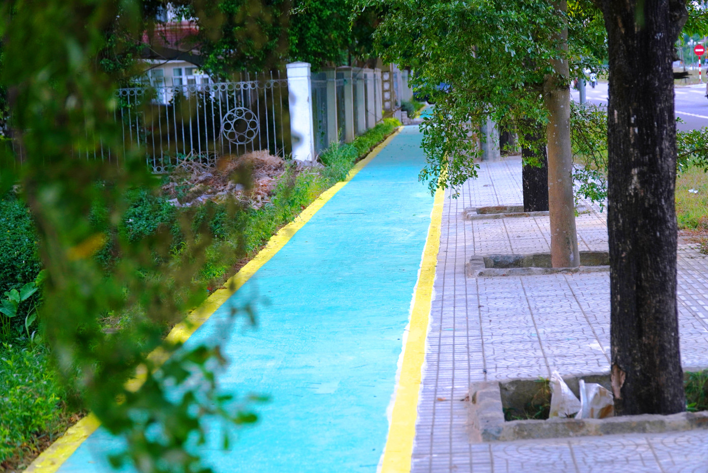 Lối xanh chạy len qua những cụm cây xanh cũ không bị thay thế ven đường Tố Hữu, đoạn qua Kho bạc Nhà nước và Cục Thuế tỉnh Thừa Thiên-Huế. Lối xanh chạy len qua những cụm cây xanh cũ không bị thay thế ven đường Tố Hữu, đoạn qua Kho bạc Nhà nước và Cục Thuế tỉnh Thừa Thiên-Huế.