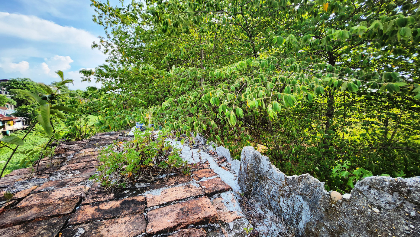 Thành quách giáp với Hộ Thành hào phía Đông Kinh thành Huế đang bị cây dại che phủ, mọc vượt cả lên bên trên bờ thành. Thành quách giáp với Hộ Thành hào phía Đông Kinh thành Huế đang bị cây dại che phủ, mọc vượt cả lên bên trên bờ thành.