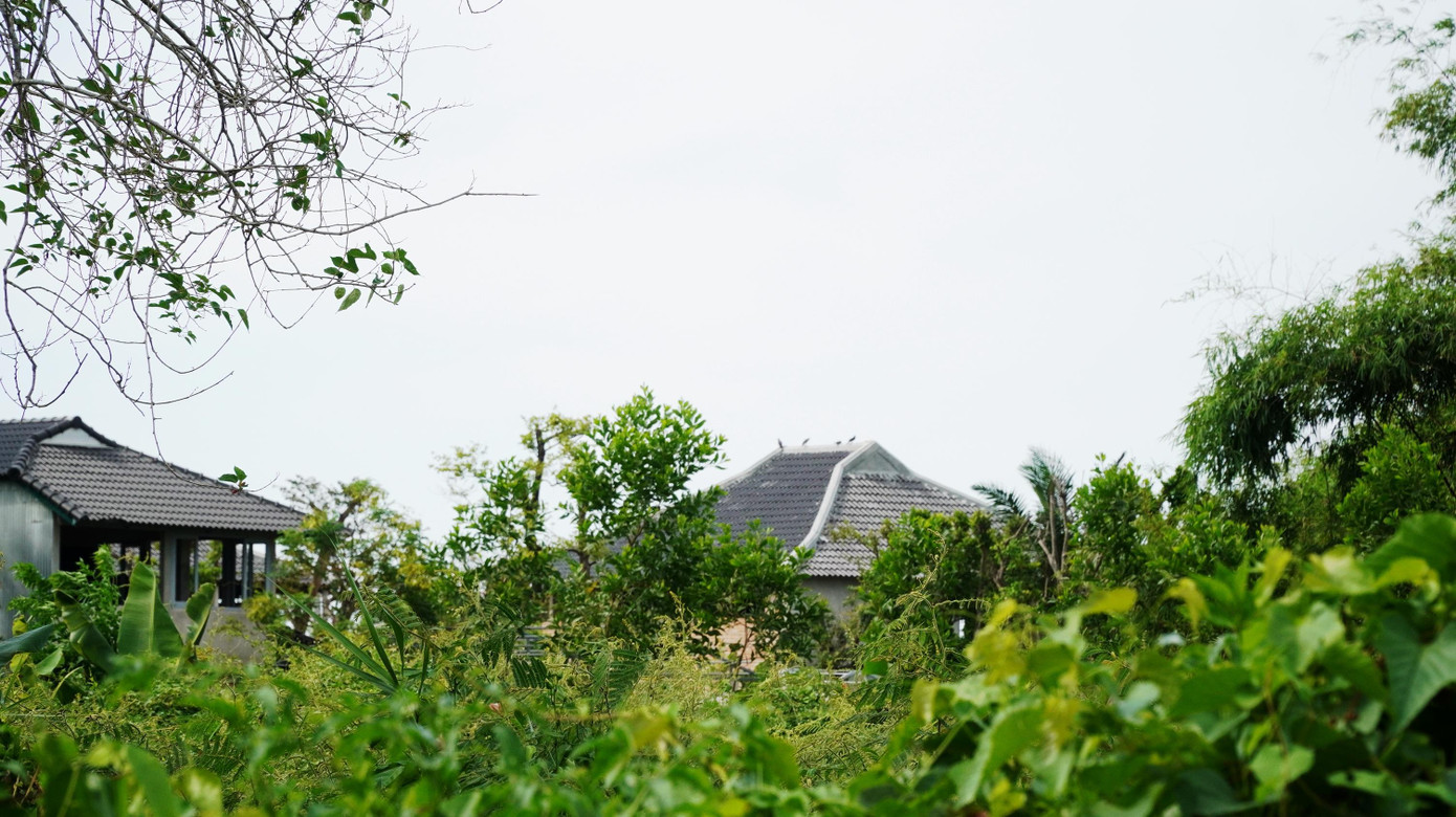 Dự án nông nghiệp triển khai 4 năm nhưng không hề có sản phẩm nông nghiệp, khiến nhiều người nghi ngờ chủ đầu tư có thực sự chú tâm vào lĩnh vực đầu tư này, hay vì một mục đích khác?