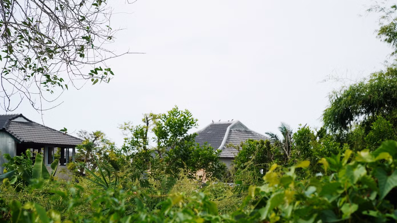 Dự án nông nghiệp triển khai 4 năm nhưng không hề có sản phẩm nông nghiệp, khiến nhiều người nghi ngờ chủ đầu tư có thực sự chú tâm vào lĩnh vực đầu tư này, hay vì một mục đích khác?