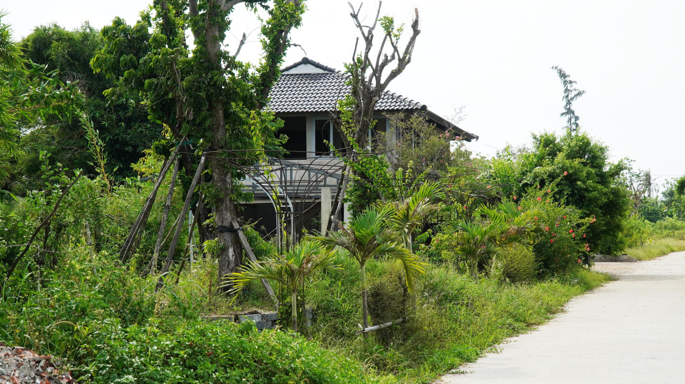 Một công trình cao tầng xây dựng không phép bên trong dự án nông nghiệp sinh thái chỉ toàn cây dại bao phủ