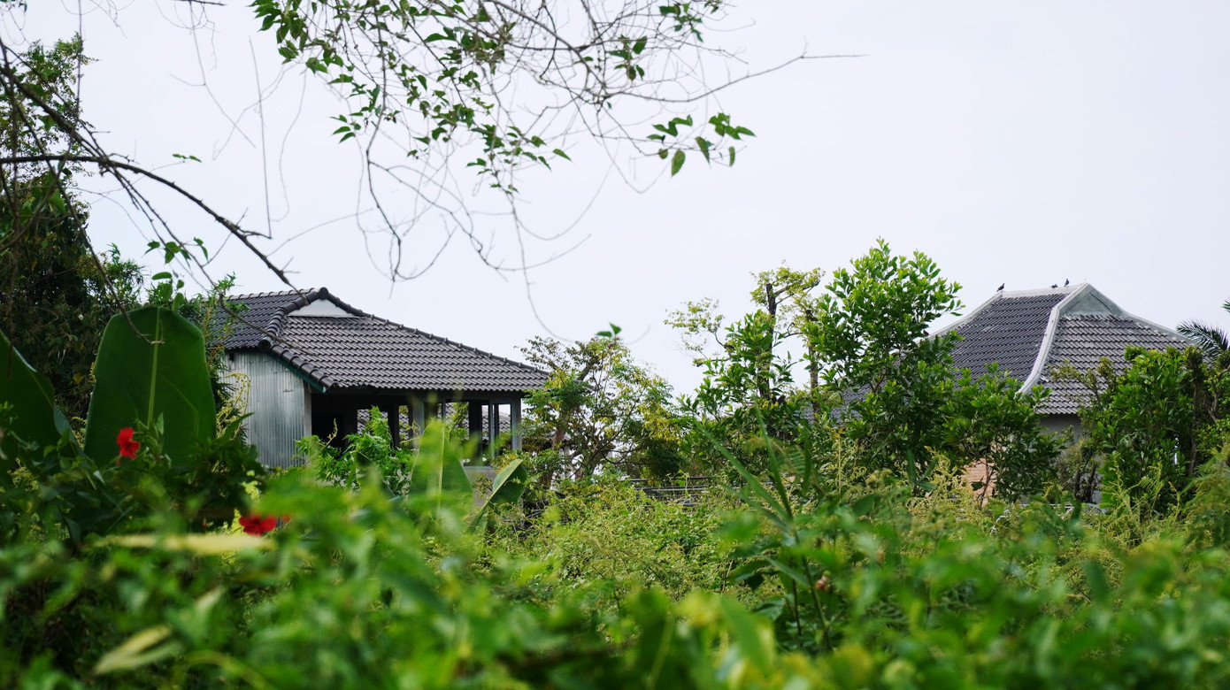 Với cây dại bao phủ xung quanh các công trình không phép thuộc dự án Go Green Farm, người lạ khó tiếp cận vào bên trong, nơi đây trông thật bí ẩn