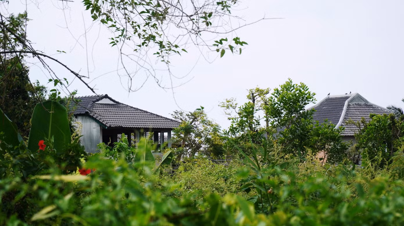 Với cây dại bao phủ xung quanh các công trình không phép thuộc dự án Go Green Farm, người lạ khó tiếp cận vào bên trong, nơi đây trông thật bí ẩn