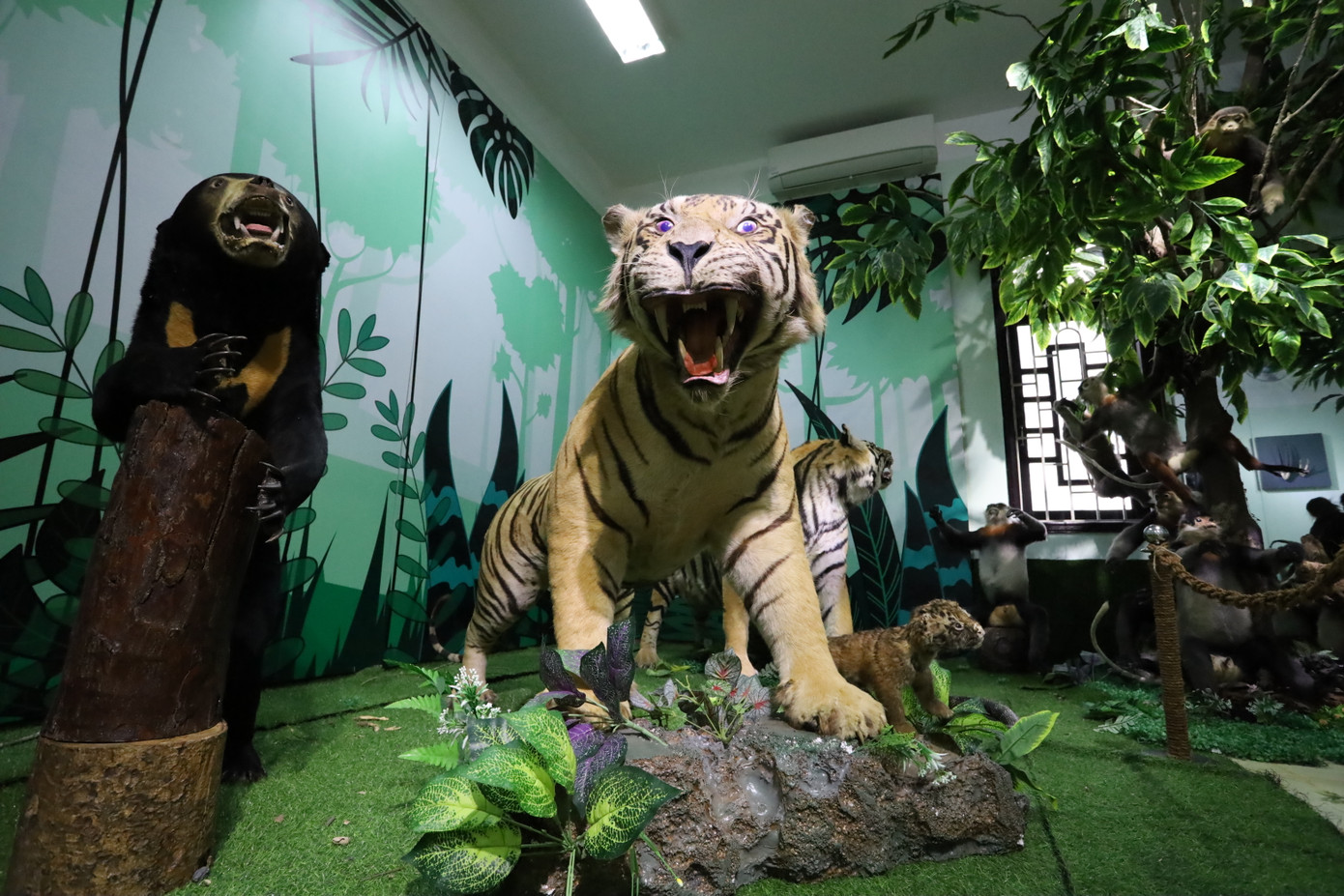 Bên cạnh đó là bộ mẫu thú quý hiếm, gồm tiêu bản hổ, sao la, cầy vòi hương cùng nhiều loài động vật hoang dã khác, minh chứng cho sự phong phú của thiên nhiên miền Trung. Bên cạnh đó là bộ mẫu thú quý hiếm, gồm tiêu bản hổ, sao la, cầy vòi hương cùng nhiều loài động vật hoang dã khác, minh chứng cho sự phong phú của thiên nhiên miền Trung.