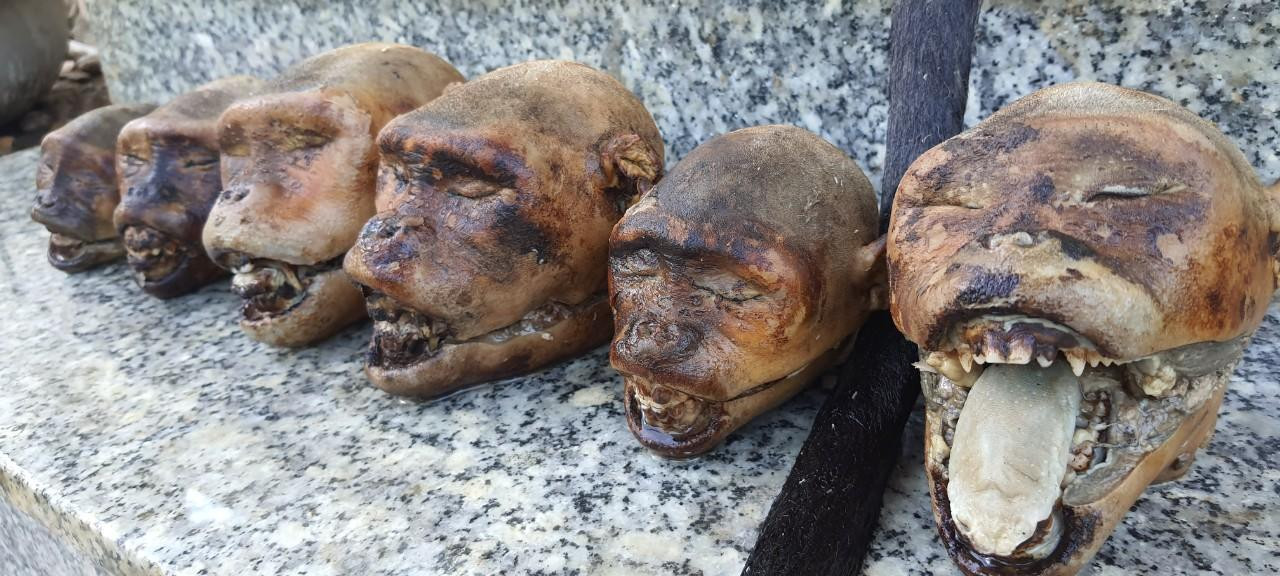 Hình ảnh về hành vi tàn sát dã man động vật hoang dã của nhóm thợ săn