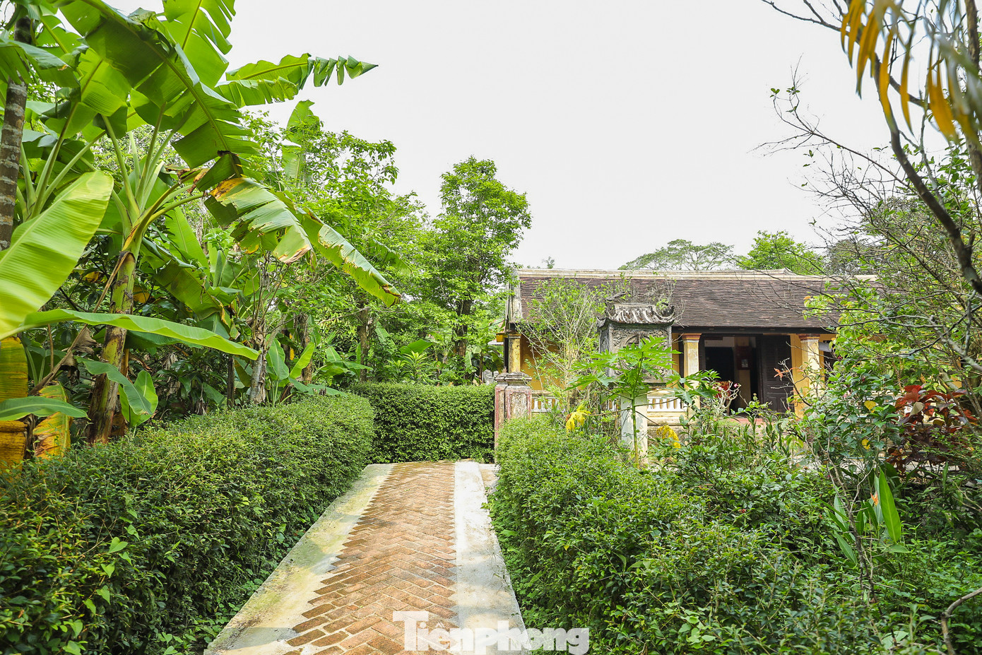 Có một điều thú vị, các ngôi nhà cổ ở Phước Tích lại nằm liền kề nhau, chỉ ngăn cách bằng khu vườn xanh mướt. Bên cạnh nhà dân là hệ thống nhà thờ họ phái, với hơn 10 nhà thờ còn lưu giữ nét kiến trúc nhà rường truyền thống. Ngoài ra, tại Phước Tích còn có các công trình kiến trúc tín ngưỡng khá phong phú như đình làng, chùa, miếu thờ…