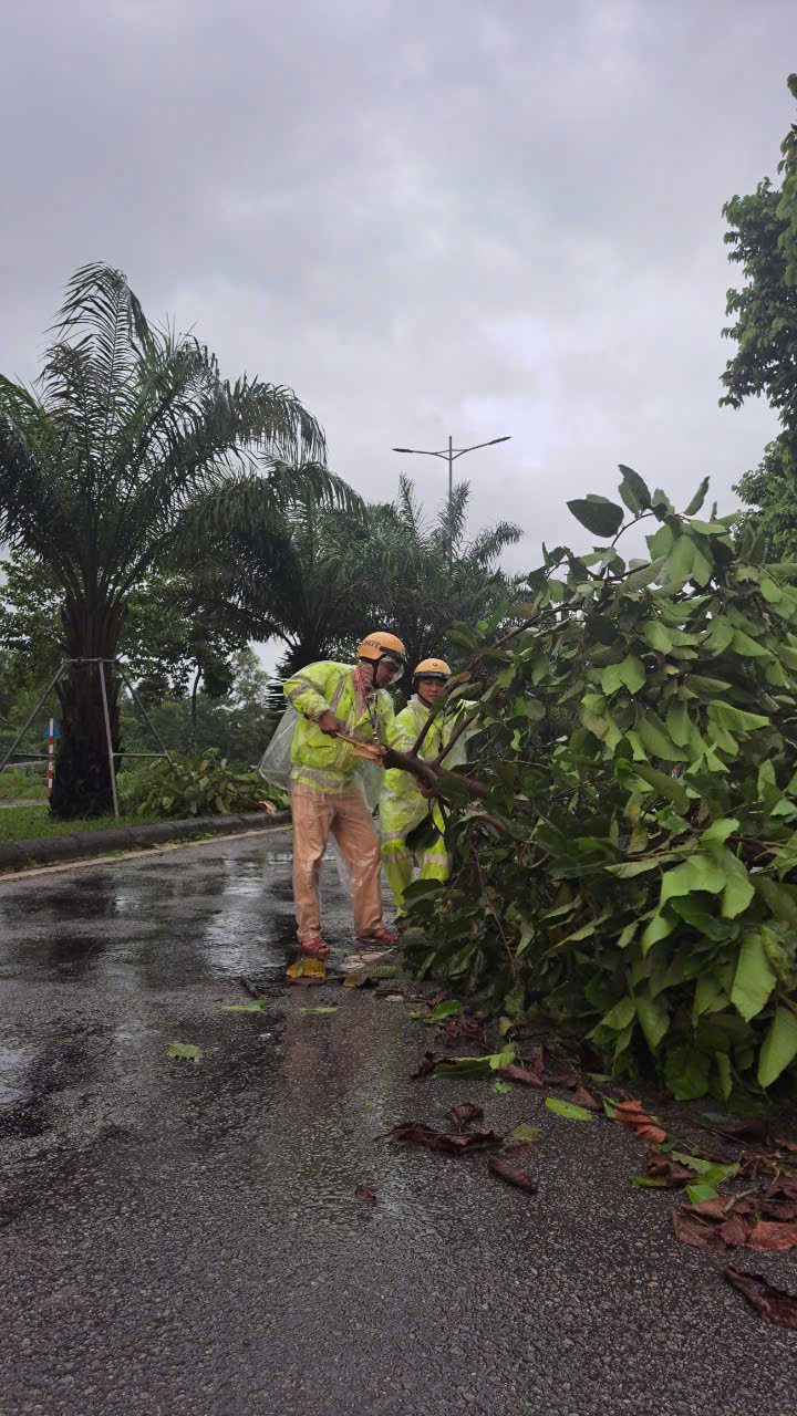 Lực lượng CSGT dọn dẹp cây cối, giải phóng ách tắc đường sá do mưa bão.