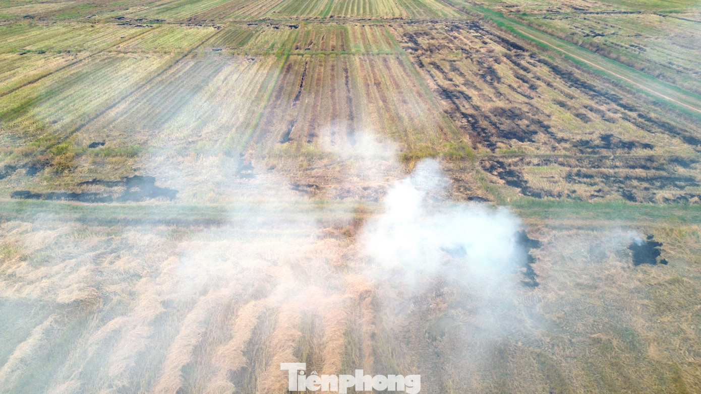 Mặc dù lực lượng chức năng đã có nhiều nỗ lực, nhưng với phạm vi đồng ruộng rộng lớn, giáp ranh giữa các địa phương, nên nhiều đám cháy do đốt rơm rạ đã không được xử lý triệt để. Mặc dù lực lượng chức năng đã có nhiều nỗ lực, nhưng với phạm vi đồng ruộng rộng lớn, giáp ranh giữa các địa phương, nên nhiều đám cháy do đốt rơm rạ đã không được xử lý triệt để.