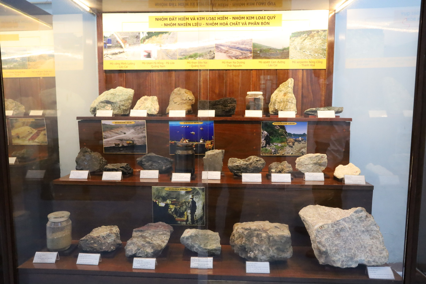 Với 6 bộ sưu tập chính, bảo tàng mang đến cái nhìn toàn diện về hệ sinh thái khu vực. Cụ thể là bộ mẫu địa chất - khoáng sản, với 184 mẫu tiêu biểu từ Việt Nam và Huế, hé lộ câu chuyện về tài nguyên đất đá. Với 6 bộ sưu tập chính, bảo tàng mang đến cái nhìn toàn diện về hệ sinh thái khu vực. Cụ thể là bộ mẫu địa chất - khoáng sản, với 184 mẫu tiêu biểu từ Việt Nam và Huế, hé lộ câu chuyện về tài nguyên đất đá.