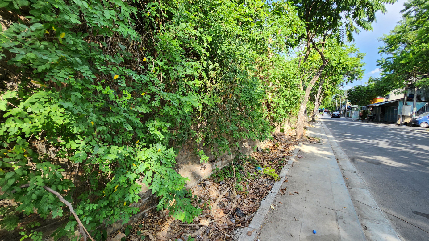 Chân bờ thành phía giáp với các tuyến phố bên trong các phường Thành nội Huế cũng phủ đầy cây dại. Chân bờ thành phía giáp với các tuyến phố bên trong các phường Thành nội Huế cũng phủ đầy cây dại.