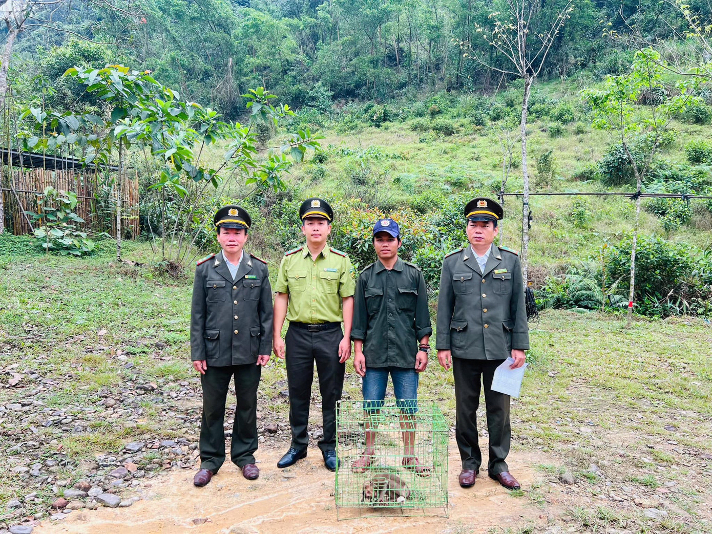 Người dân giao nộp cá thể khỉ mặt đỏ quý hiếm cho cơ quan kiểm lâm.