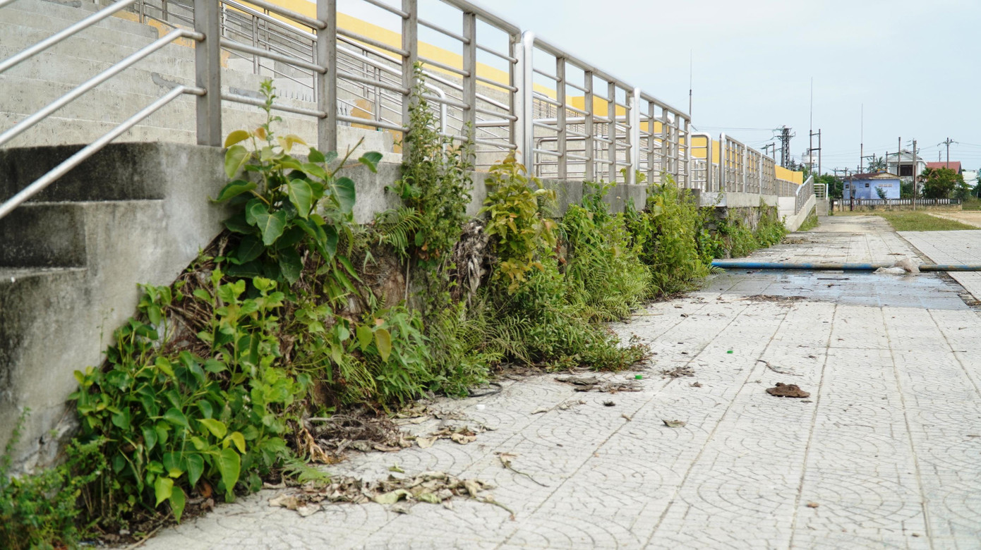 Cây dại, cỏ hoang um tùm ngay dưới chân khu khán đài "VIP".