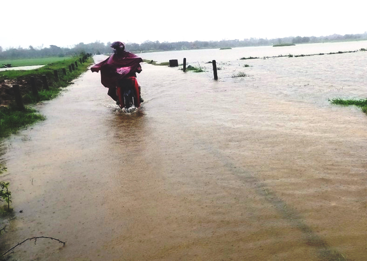 Đường sá qua xã Phong Bình, huyện Phong Điền, TT-Huế, bị ngập lụt do mưa lớn gây khó khăn, nguy hiểm cho đi lại. Đường sá qua xã Phong Bình, huyện Phong Điền, TT-Huế, bị ngập lụt do mưa lớn gây khó khăn, nguy hiểm cho đi lại.