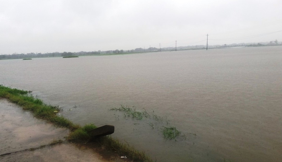 Ruộng đồng tại xã Phong Bình (huyện Phong Điền) mênh mông nước. Ruộng đồng tại xã Phong Bình (huyện Phong Điền) mênh mông nước.