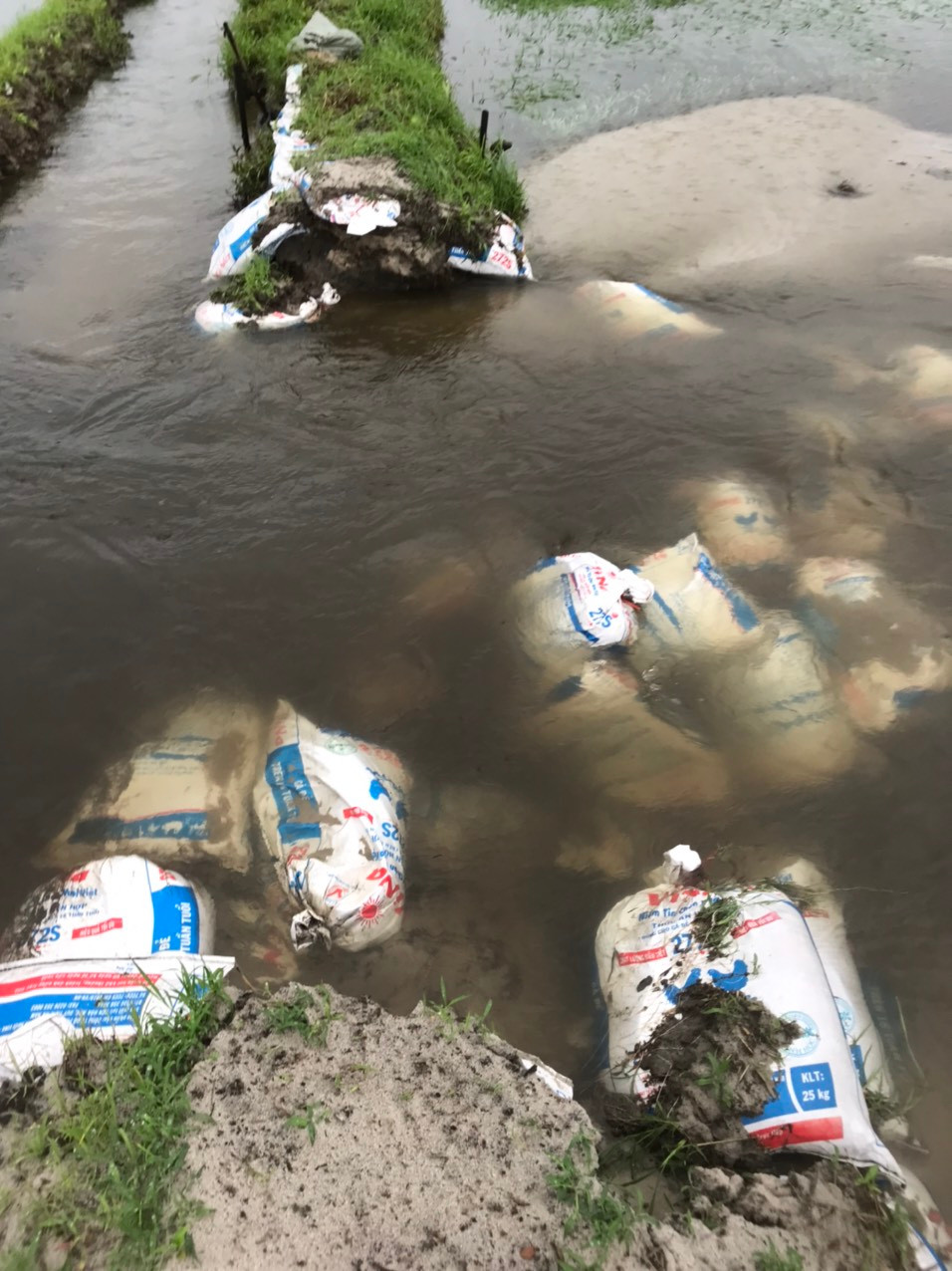 Bờ kênh thủy lợi bằng đất tại xã Điền Hải (huyện Phong Điền) bị nước lũ xé toang dù được gia cố bằng nhiều bao cát. Bờ kênh thủy lợi bằng đất tại xã Điền Hải (huyện Phong Điền) bị nước lũ xé toang dù được gia cố bằng nhiều bao cát.