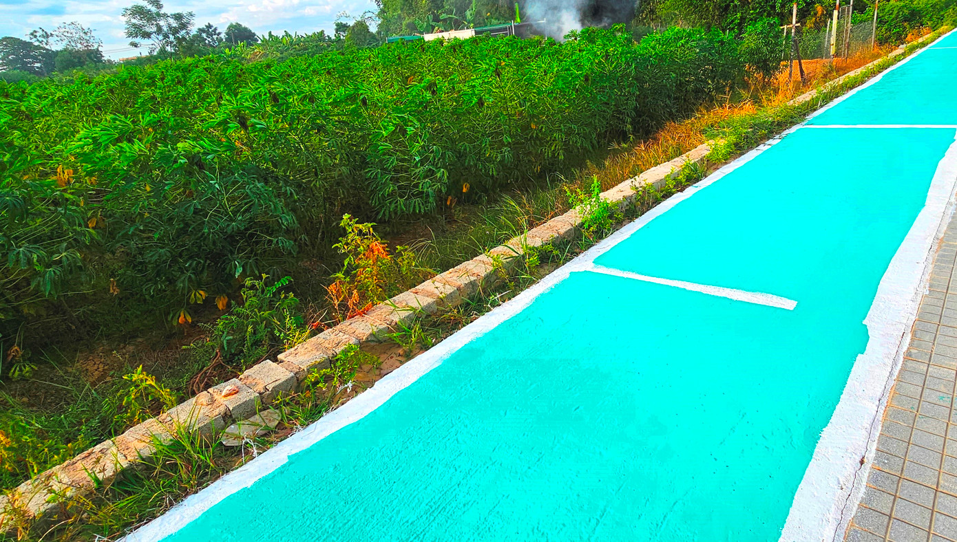 Vỉa hè xanh chạy qua những cánh đồng xanh thuộc phường An Đông, TP. Huế. Vỉa hè xanh chạy qua những cánh đồng xanh thuộc phường An Đông, TP. Huế.