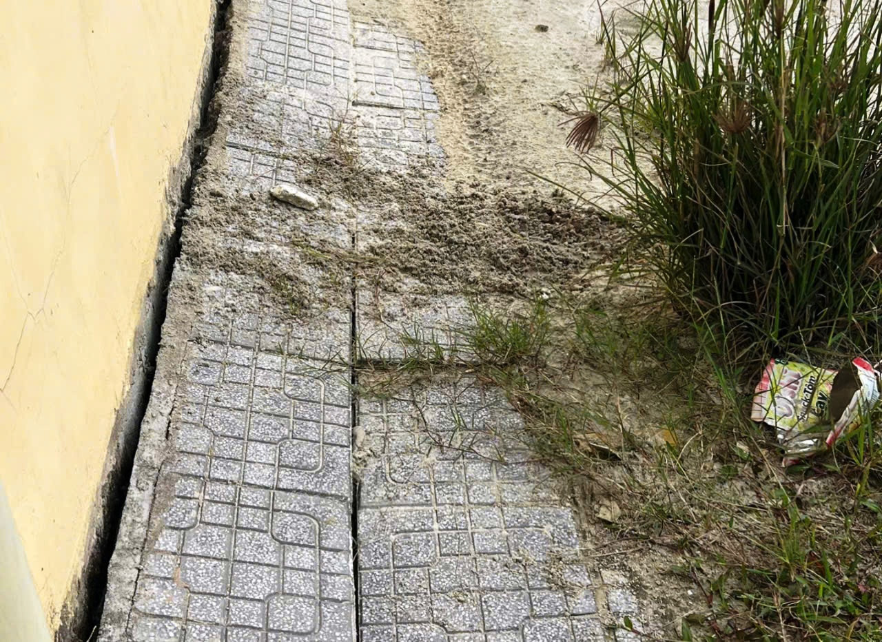 Móng nhà và và nền sân vườn bị nứt toác, mất tính liên kết.