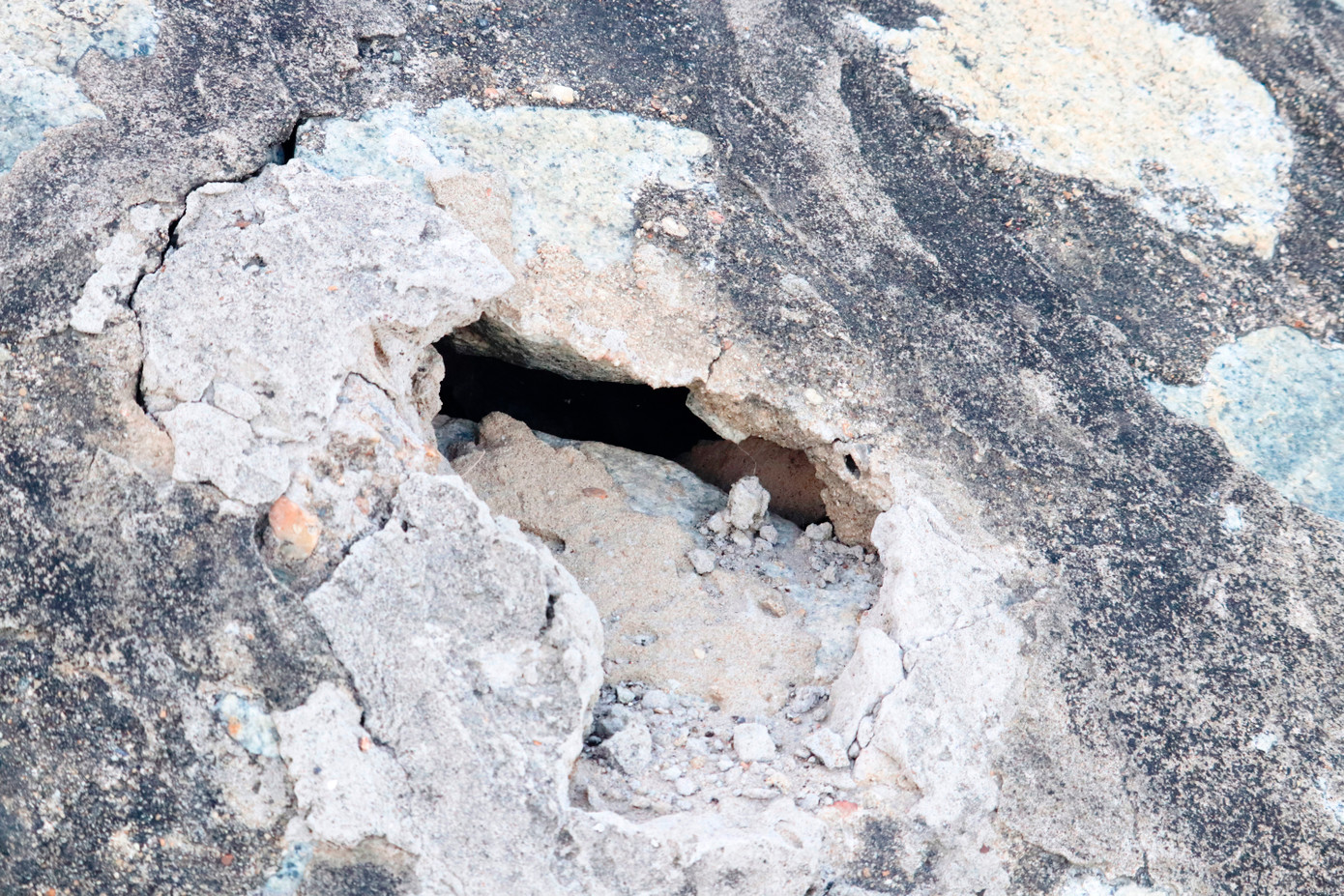 Bờ kè khu vực đập Thảo Long (TP Huế) bị xuống cấp, sụt lún. Bờ kè khu vực đập Thảo Long (TP Huế) bị xuống cấp, sụt lún.