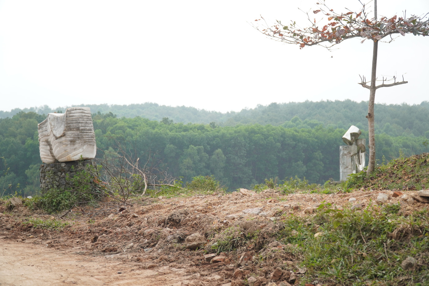 Cây dại tại khu vườn tượng nghệ thuật thuộc công viên hồ Thủy Tiên đã được phát quang, vệ sinh, dọn dẹp. Cây dại tại khu vườn tượng nghệ thuật thuộc công viên hồ Thủy Tiên đã được phát quang, vệ sinh, dọn dẹp.