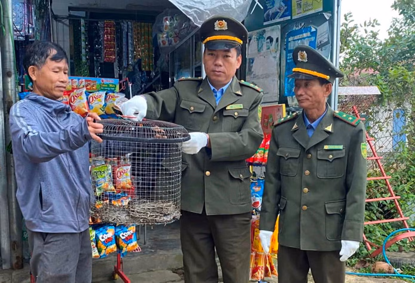 Cán bộ Hạt Kiểm lâm huyện Phú Lộc (Huế) tiếp nhận cá thể trăn gấm quý hiếm do người dân tự nguyện giao nộp. Cán bộ Hạt Kiểm lâm huyện Phú Lộc (Huế) tiếp nhận cá thể trăn gấm quý hiếm do người dân tự nguyện giao nộp.