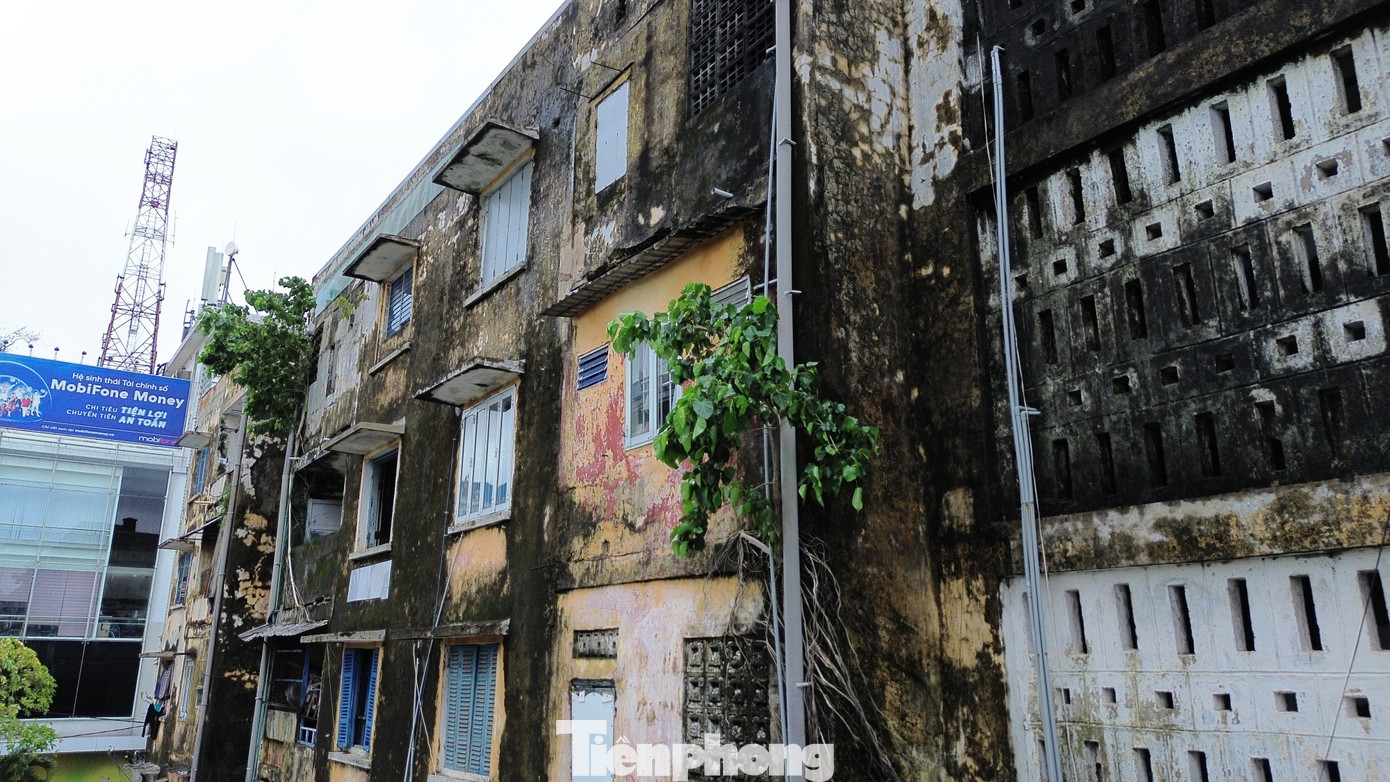 Trên cơ sở đó, đơn vị tư vấn kết luận, các dãy nhà A, B, C thuộc trường hợp phải cải tạo, xây dựng lại theo Luật nhà ở. Còn theo UBND TP. Huế, việc cải tạo khu chung cư Đống Đa nhằm đảm an toàn tài sản, tính mạng cho người dân, mỹ quan đô thị. Công trình cải tạo, xây dựng nhằm tạo nơi ở mới an toàn, khang trang; quyền lợi của người dân cũng phải được đảm bảo sau khi thực hiện cải tạo khu chung cư.