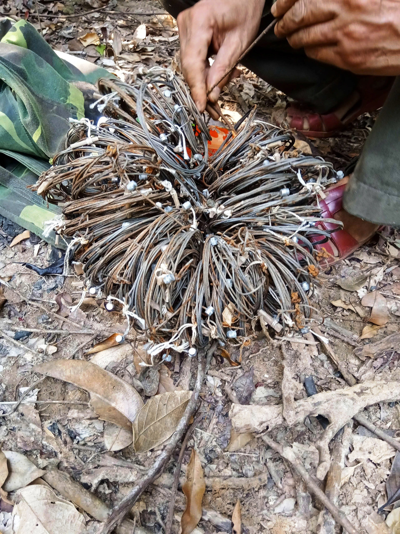 Qua các đợt tuần tra, lực lượng chức năng đã phát hiện có 92 điểm bẫy bắt thú rừng; tháo gỡ 1.211 sợi dây bẫy thòng lọng, 254 bẫy kẹp, 15 bẫy răng cưa, 3 bẫy sập và 72 lán trại dựng trái phép trong rừng.