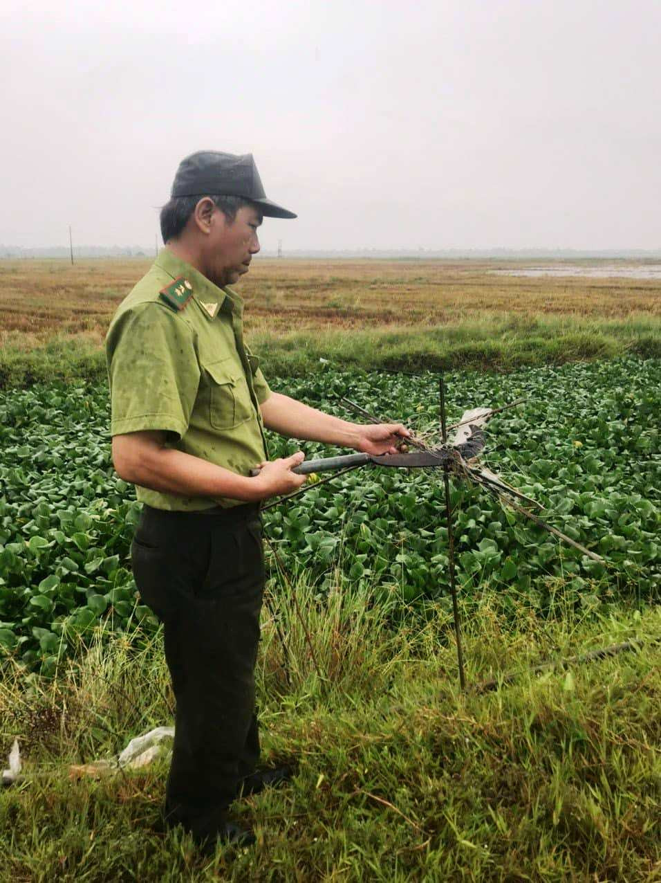 Phá bỏ bẫy nhựa dùng bắt chim trời.