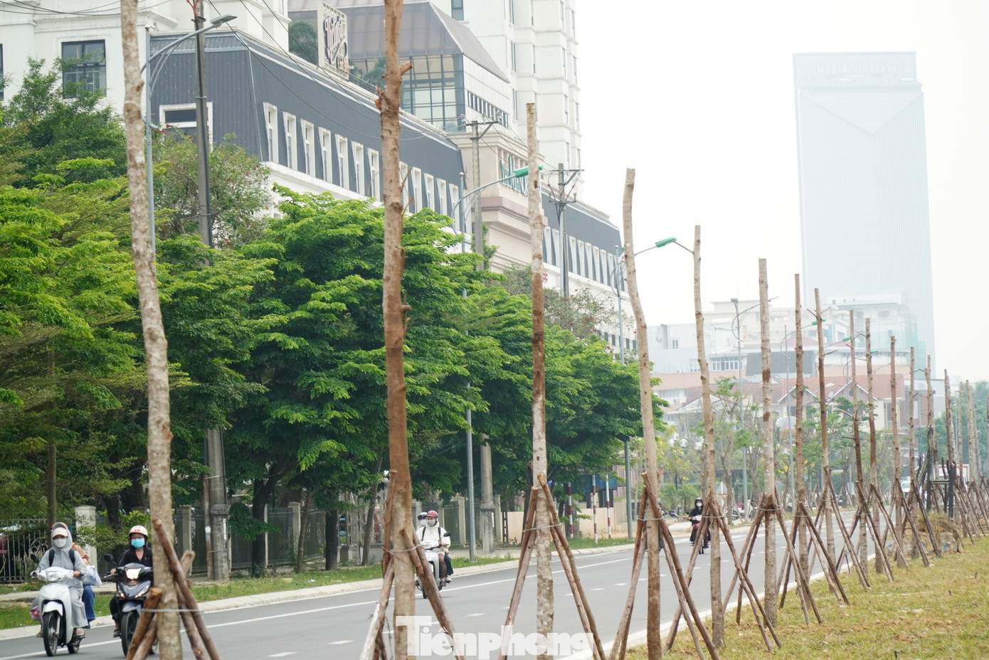 Các tuyến phố này là đường đôi, khẩu độ đường rộng kéo dài qua nhiều phường nhưng lại trồng đơn điệu duy nhất một loài cây dầu rái. Các tuyến phố này là đường đôi, khẩu độ đường rộng kéo dài qua nhiều phường nhưng lại trồng đơn điệu duy nhất một loài cây dầu rái.