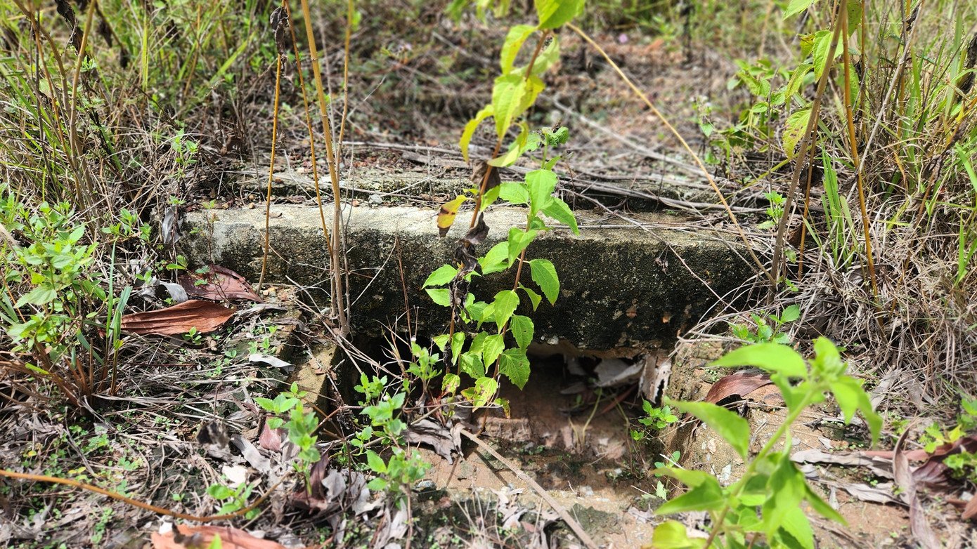 Hệ thống thoát nước khu quy hoạch đã bị xuống cấp.