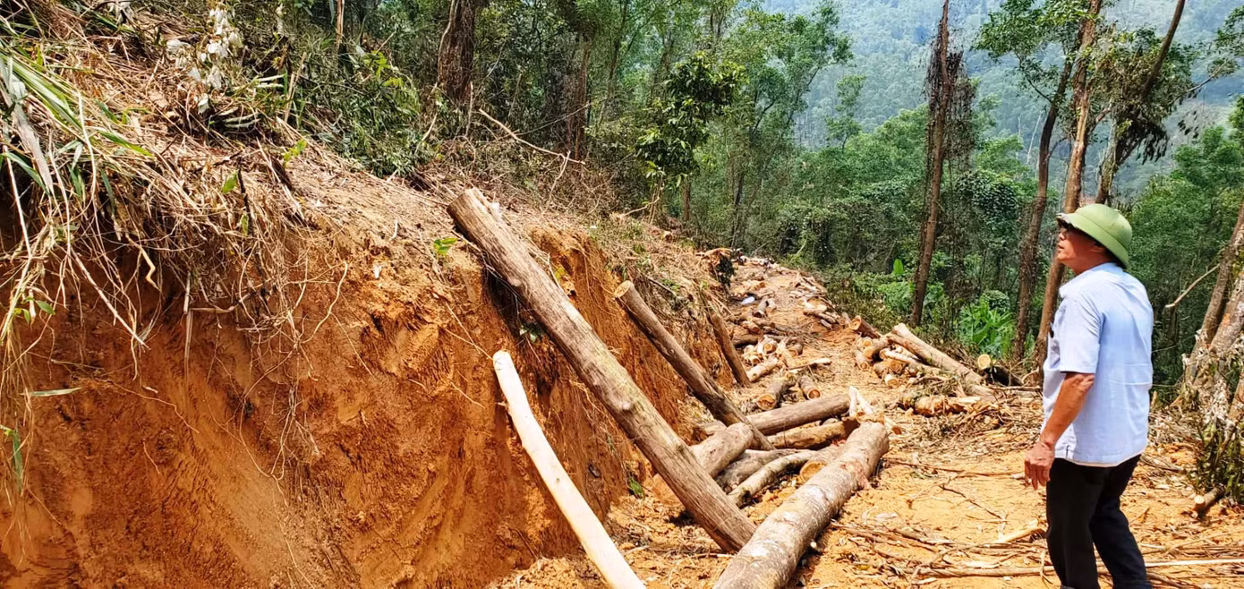Cây gỗ tỉa thưa không đúng quy định đã bị thu hồi, đưa về trụ sở xã phục vụ công tác xác minh, điều tra Cây gỗ tỉa thưa không đúng quy định đã bị thu hồi, đưa về trụ sở xã phục vụ công tác xác minh, điều tra