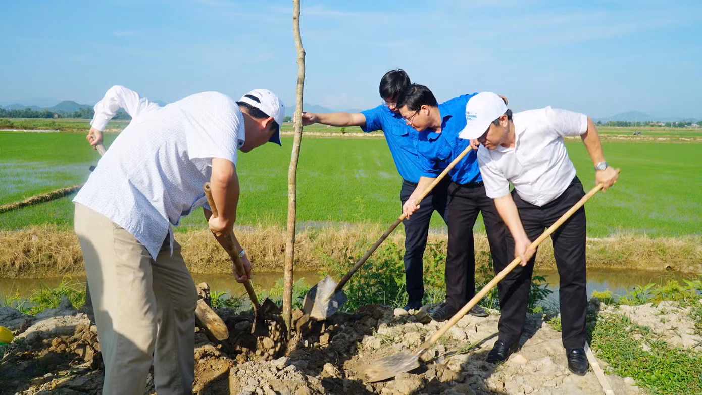 Trồng cây xanh tạo cảnh quan, bóng mát.