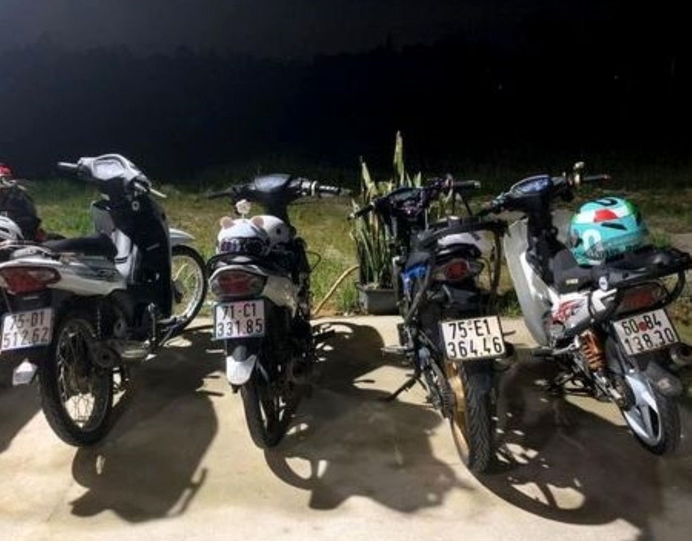 Tạm giữ các phương tiện vi phạm.